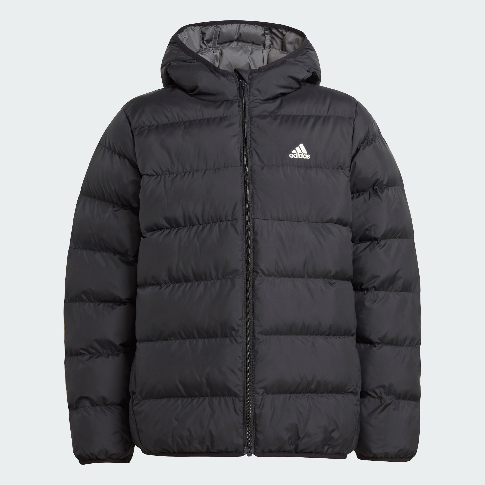 adidas Sportswear adidas J Sd Jkt (9000187582_3625)