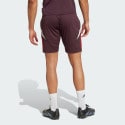 adidas Fc Bayern Tiro 24 Training Men's Football Shorts