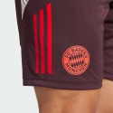 adidas Fc Bayern Tiro 24 Training Men's Football Shorts