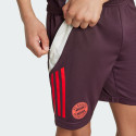 adidas Fc Bayern Tiro 24 Παιδικό Ποδοσφαιρικό Σορτς Προπόνησης