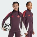 adidas Fc Bayern Tiro 24 Kids' Longsleeve Training Shirt