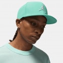 Jordan Pro Hat