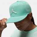 Jordan Pro Hat