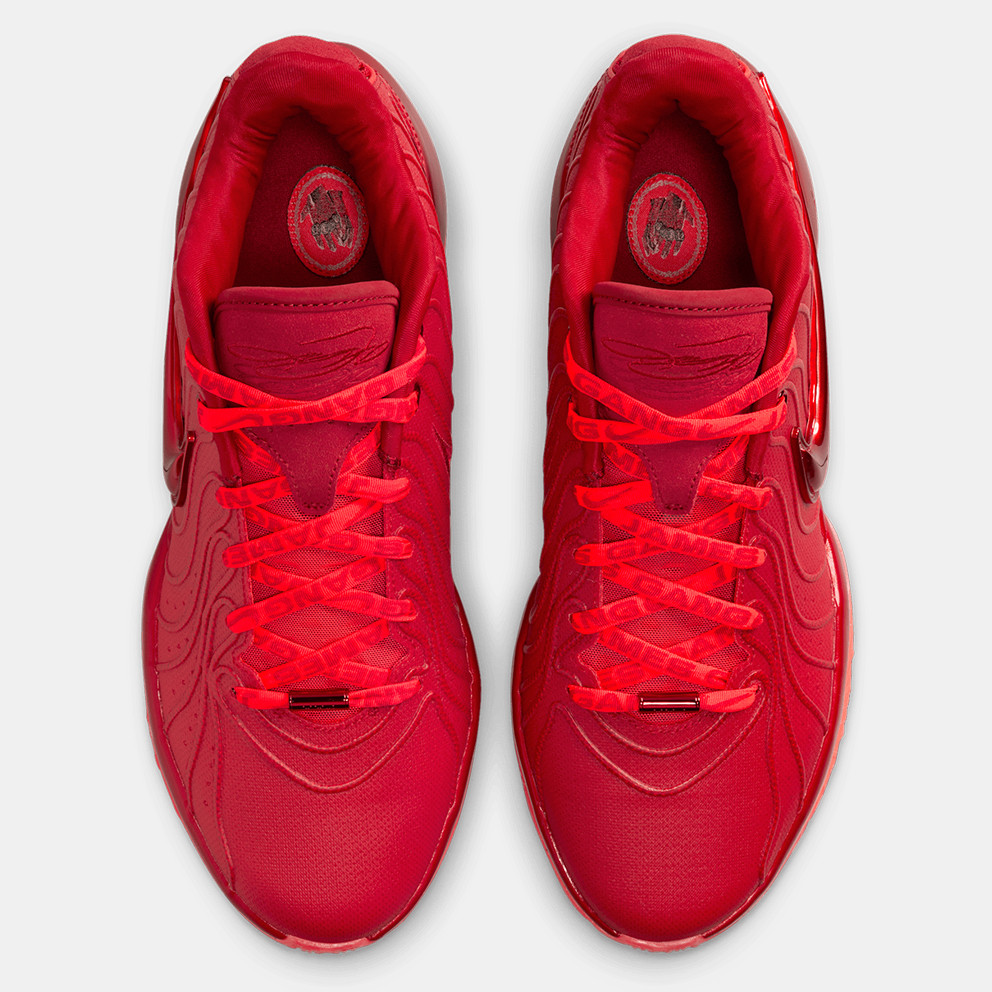 Nike Lebron 21 "James Gang" Men's Basketball Shoes