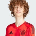 adidas Fc Bayern 24/25 Long Sleeve Home Jersey