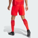 adidas Fc Bayern 24/25 Home Shorts