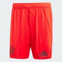 adidas Fc Bayern 24/25 Home Shorts
