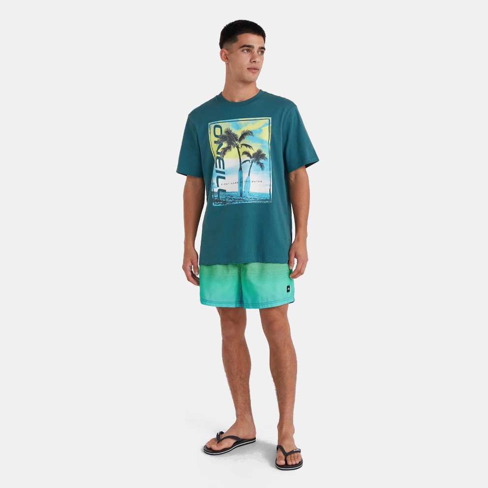 O'Neill Jack O'Neill Cali Gradient 15'' Swim Short