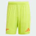 adidas Arsenal 24/25 Goalkeeper Shorts