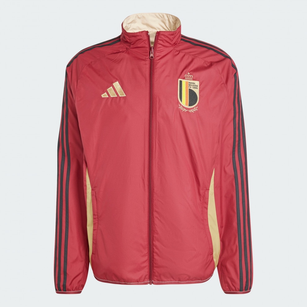 adidas Belgium Anthem Men's Football  Jacket