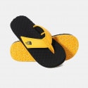 The North Face M Basecamp Flpflp Ii Sumitgld/Tnfbl