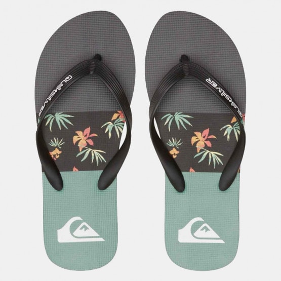 Quiksilver Molokai Stripe Men's Flip Flops