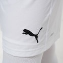 Puma Teamfinal Παιδικό Σορτς