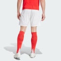 adidas Benfica 24/25 Home Shorts