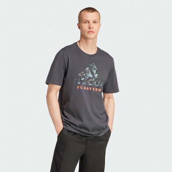 adidas Fc Bayern Seasonal Graphic Tee