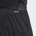 adidas Benfica 24/25 Away Shorts
