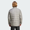 adidas Terrex Terrex Multi Light Down Jacket