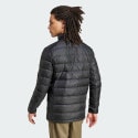 adidas Terrex Terrex Multi Light Down Jacket