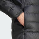 adidas Terrex Terrex Multi Light Down Jacket