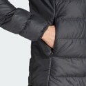 adidas Terrex Terrex Multi Light Down Jacket