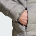 adidas Terrex Terrex Multi Light Down Hooded Jacket