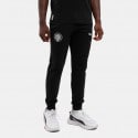 Puma OFI Teamgoal Men's Track Pants