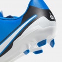 Nike Legend 10 Club Fg/Mg