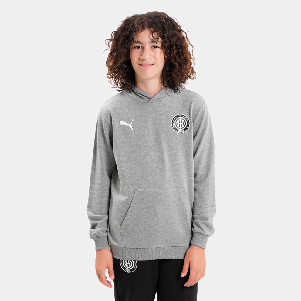 Puma Teamgoal Kid's Hoodie