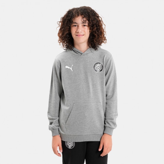 Puma Teamgoal Kid's Hoodie