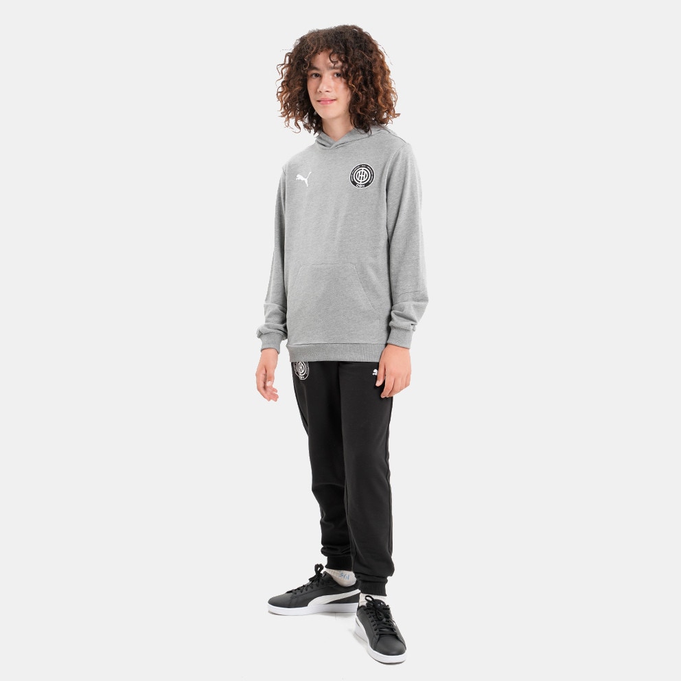 Puma Teamgoal Kid's Hoodie