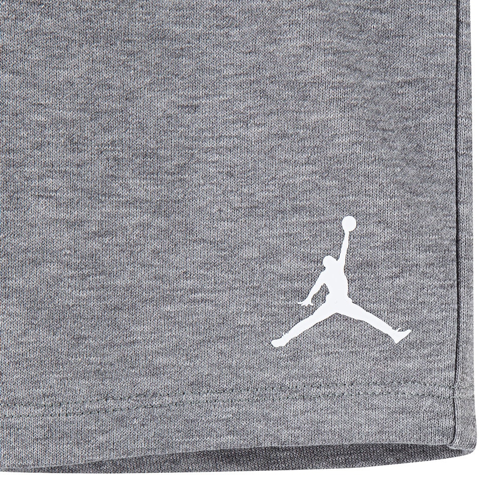 Jordan Aop T/Sht Wht/Gry$