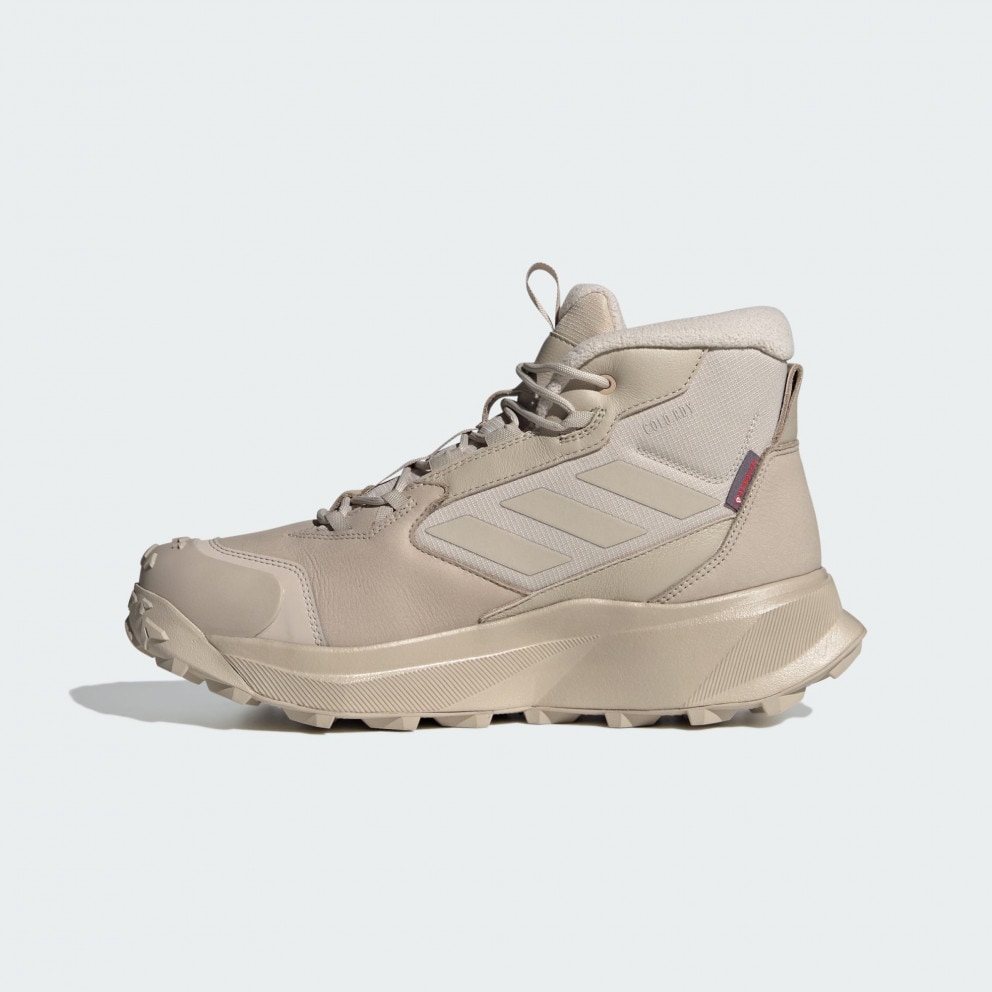 adidas Terrex Terrex Winter Leather Mid Cut Rain.Rdy Cold.Rdy Bo