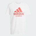 adidas Benfica Seasonal Graphic Tee