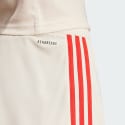 adidas Fc Bayern 24/25 Third Shorts