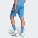 adidas France Gym Shorts