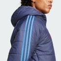 adidas France Winter Jacket