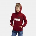 Puma Ess+ 2 Col Big Logo Hoodie Fl