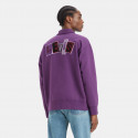 Levi's Skate New Quarter Zip Blues