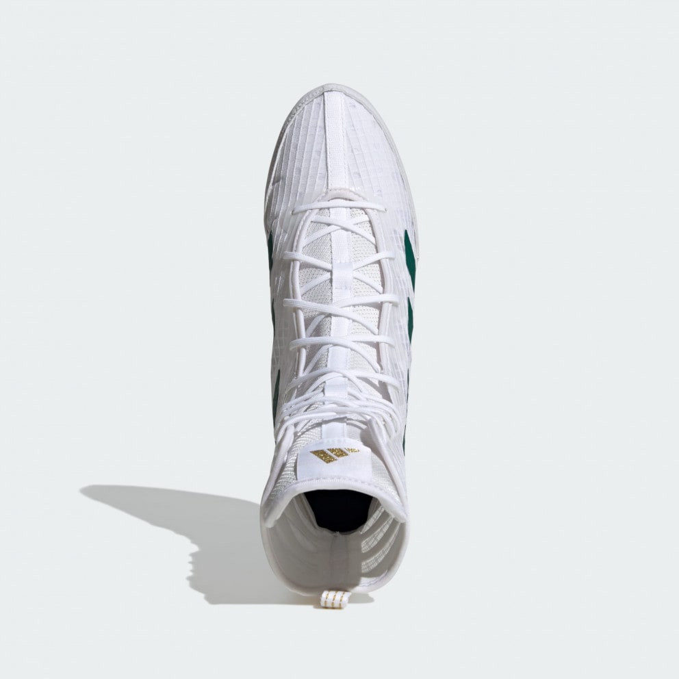 adidas Box Hog 4 Shoes