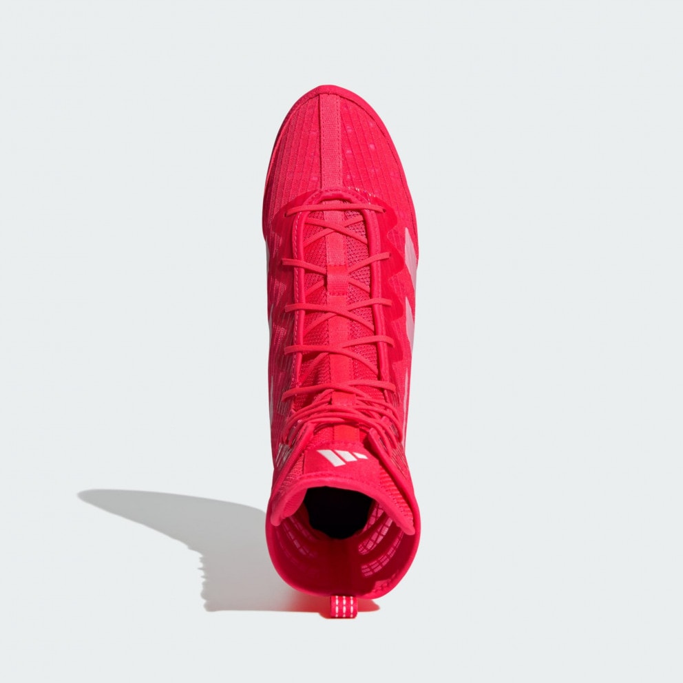 adidas Box Hog 4 Shoes