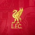 Nike Liverpool F.C. Ανδρικό Ποδοσφαρικό T-Shirt