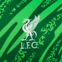 Nike Liverpool F.C. Ανδρικό Ποδοσφαρικό T-Shirt