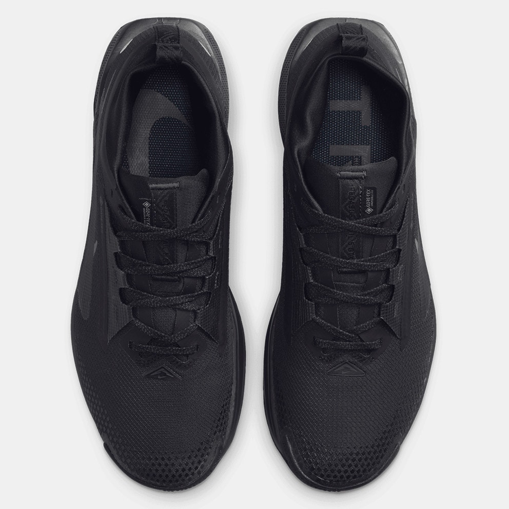 Nike Pegasus Trail 5 GORE-TEX Men's Trail Shoes