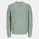 Jack & Jones Jprccjamie Crew Neck Ls Knit Styd