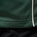 Nike NBA Giannis Antetokounmpo Milwaukee Bucks Icon Edition 2022/23 Swingman Dri-FIT Μπασκετική Φανέλα