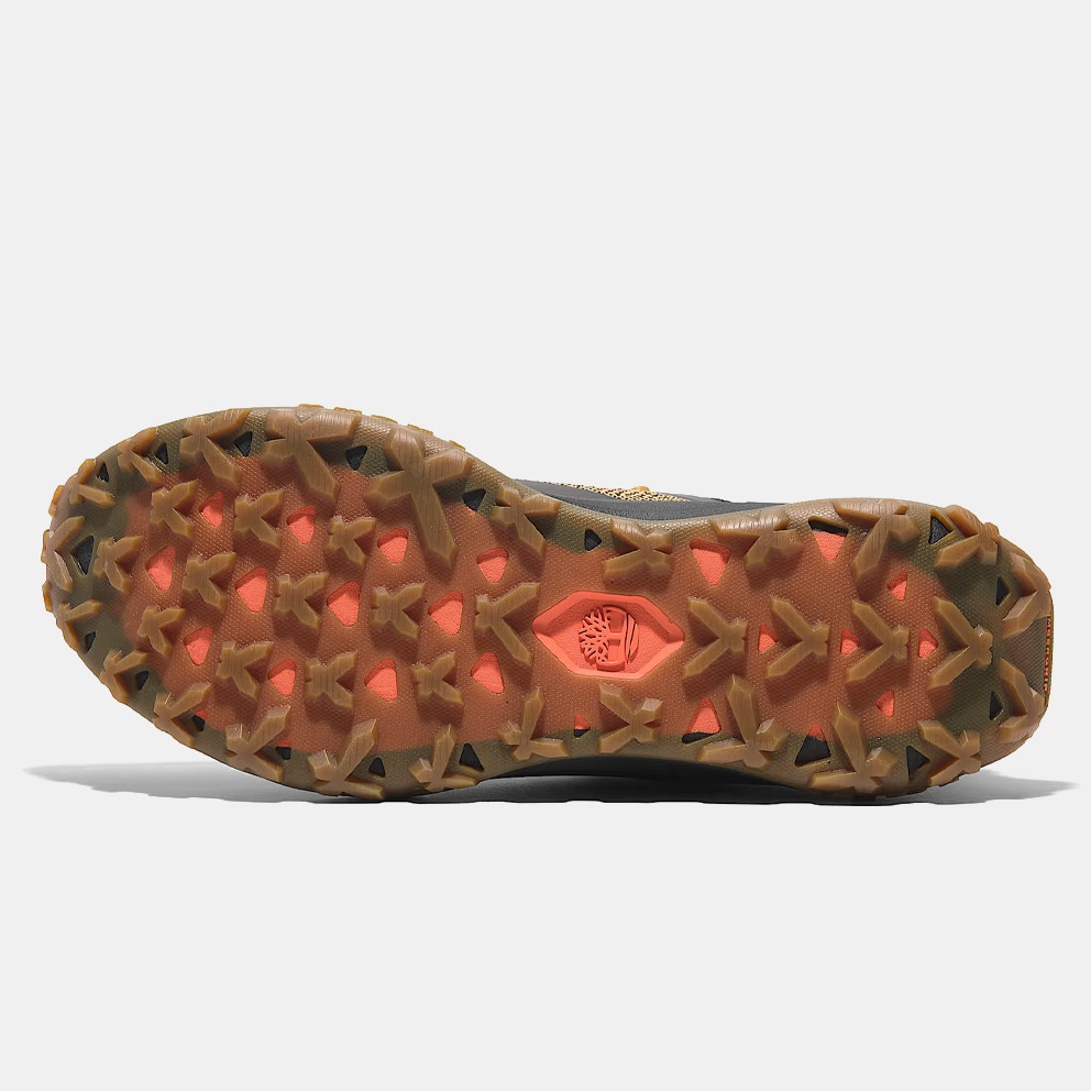 Timberland Low Lace Up Sneaker