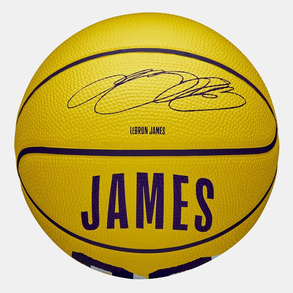 Wilson Nba Player Icon Mini Bskt Lebron New 3