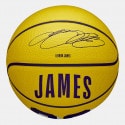 Wilson Nba Player Icon Mini Bskt Lebron New 3