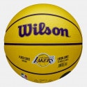 Wilson Nba Player Icon Mini Bskt Lebron New 3
