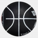 Wilson Nba Dribbler Bskt Tor Raptors
